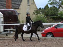img_4582_web